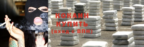хмурый Бородино