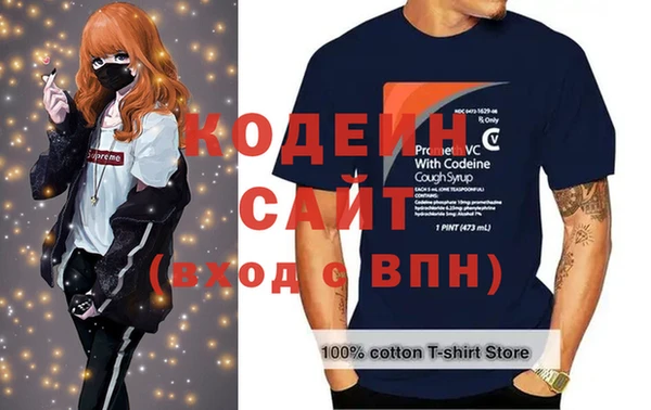 хмурый Бородино
