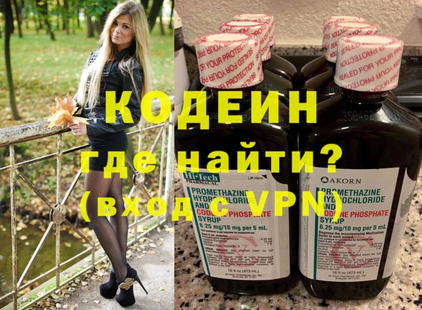 хмурый Бородино