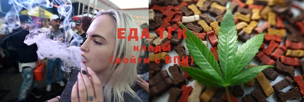 хмурый Бородино